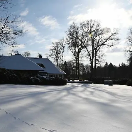 Whispering Tree Gross אורחן