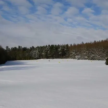 Whispering Tree Gross אנקום